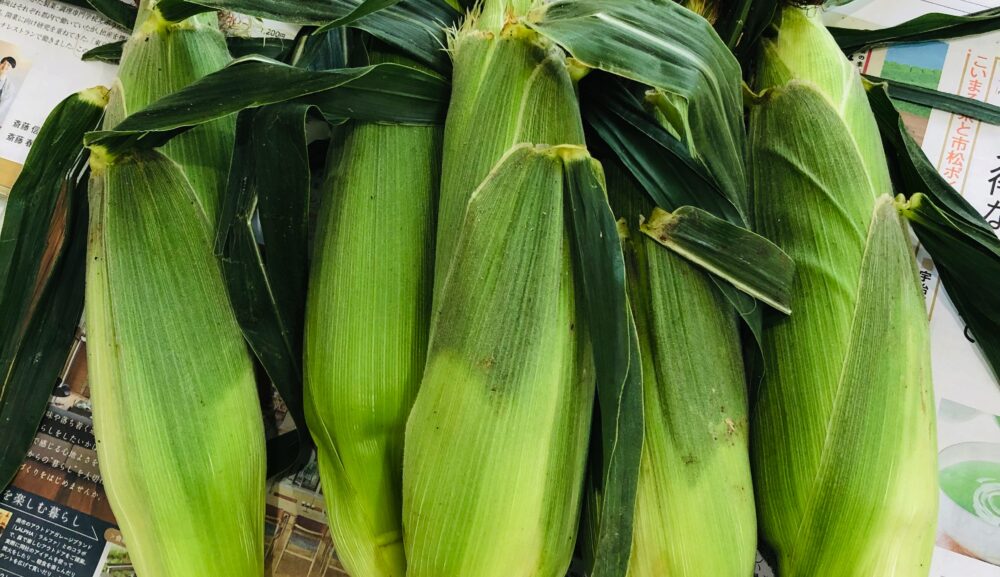 夏バテ解消は夏野菜で！！！